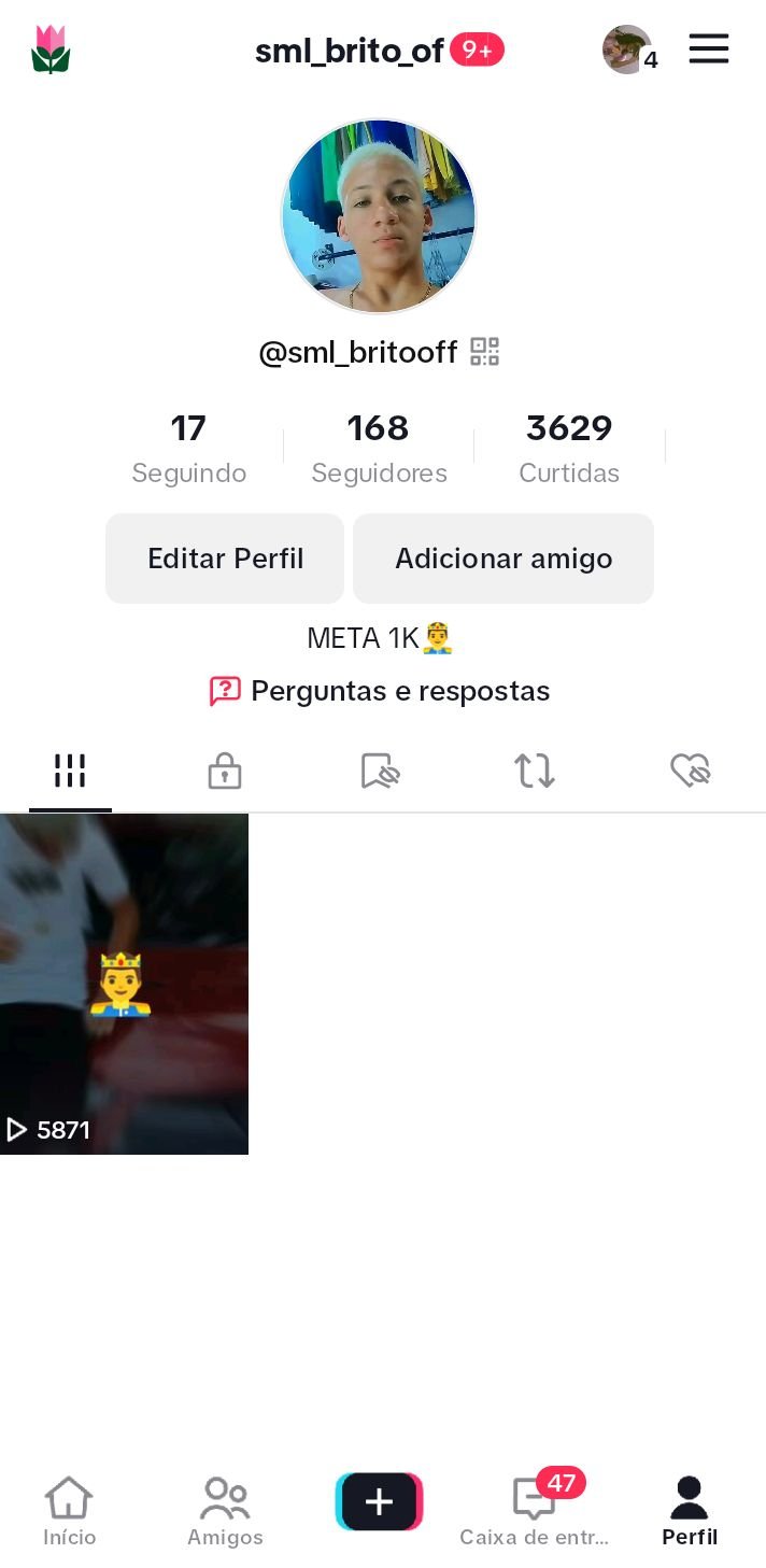 Conta No Tiktok 169 Seguidores 3622 Curtidas Alpha