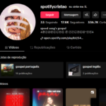 CONTA TIKTOK COM MAIS DE 17.8K Seguidores 336.7K Curtidas - Musicas