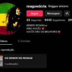 TIKTOK 9445 Seguidores 290.7K Curtidass e PRESTE A MONETIZAR - REGGAE SINCERO