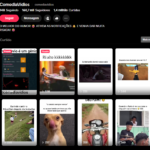 CONTA TIKTOK | 160,7K SEG | 1,4 MILHÃO CURT | NICHO COMÉDIA 😂 | PERFIL GRANDE E VIRAL 🚀