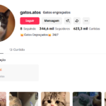 Tik Tok monetizado 346k de seguidores e subindo / Gatos engraçados
