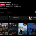 CONTA TIKTOK MONETIZADA | 51,6K SEG | 1,9 MILHÃO CURT | GAME & EDITS | ENTRETENIMENTO VIRAL🎬