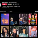 CONTA TIKTOK MONETIZADA | 29,7K SEG | 134K CURT | FÃ CLUBE & MÚSICA SERTANEJA (ANA CASTELA) | OPORTUNIDADE PREMIUM 🚀