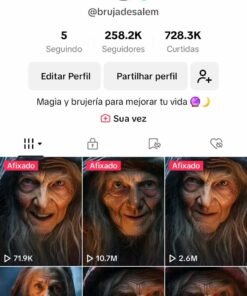 Conta tiktok 263k - Brujadesalem