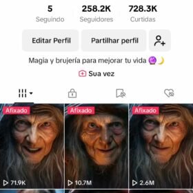 Conta tiktok 263k - Brujadesalem
