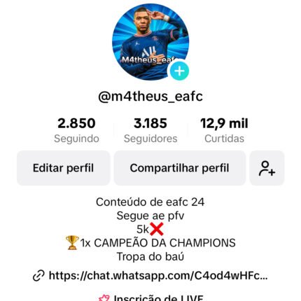 Conta de tiktok com 3,1k de seguidores