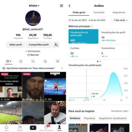 Conta Tik Tok 24.3K Seguidores 158.6K Curtidas