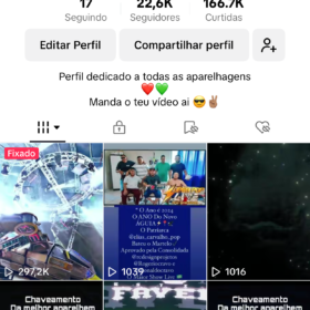 TIKTOK Fã Das Aparelhagens -22,6 mil Seguidores