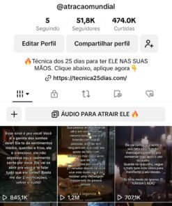 TIKTOK MONETIZADO NICHADO 51,8K - RELACIONAMENTO - ÓTIMO PARA INFOPRODUTOS E INFLUENCER