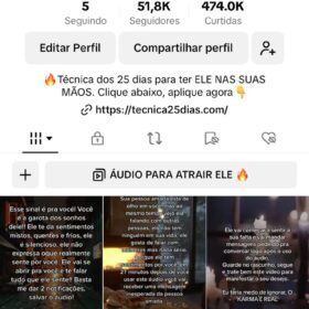 TIKTOK MONETIZADO NICHADO 51,8K - RELACIONAMENTO - ÓTIMO PARA INFOPRODUTOS E INFLUENCER
