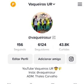 Tik Tok com mais de  6123 Seguidores 43.8K Curtidas