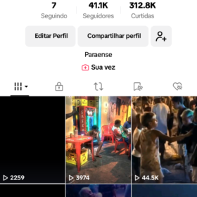 Conta do tik tok - 41,1K Seguidores