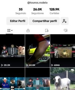 Conta do TIK TOK- monetizada 26.3K Seguidores 130.7K Curtidas