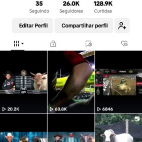 Conta do TIK TOK- monetizada 26.3K Seguidores 130.7K Curtidas