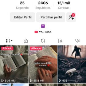 Conta do Tiktok com 2k de seguidores e quase 110 mil views