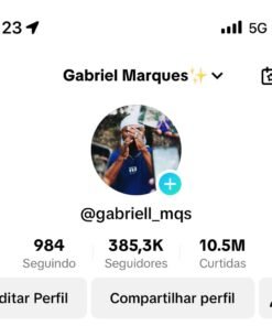 Conta Tiktok + 380K Monetizada e 10MI curtidas