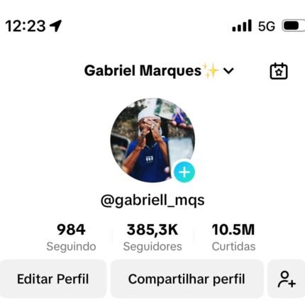 Conta Tiktok + 380K Monetizada e 10MI curtidas