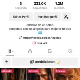 Conta tiktok 232k - Ctrlc_motivacion