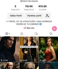 Perfil Do TikTok, Com Mais De 112 Mil Seguidores, Monetizado, Engajado e Viralizado, Com Todos Os Seguidores Reais
