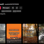 CONTA TIKTOK | 1K+ SEG | 7K+ CURT | NICHO CURIOSIDADES / FATOS INTERESSANTES / ENTRETENIMENTO | OPORTUNIDADE 📢