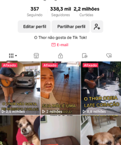 Conta Tik Tok com 338 mil seguidores