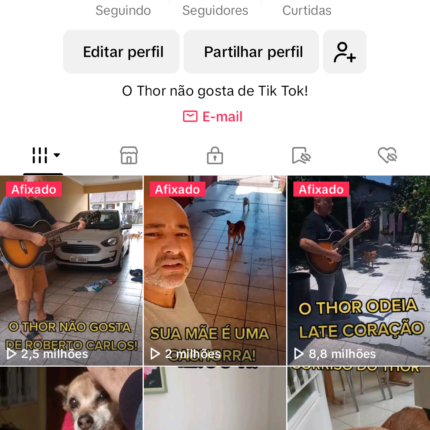 Conta Tik Tok com 338 mil seguidores