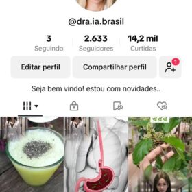 2600seguidores Canal Tiktok