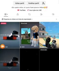 Conta no TikTok com mais de 19mil seguidores