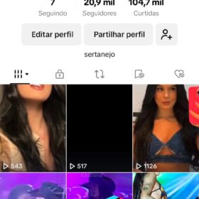 CONTA DO TIK TOK 22k ENGANJAMENTO MUITO BOM - Monetizado