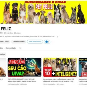 PET FELIZ - 790 INSCIRTOS