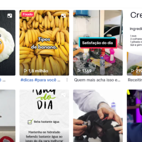 TikTok com mais de 30K de seguidores, subindo mais de 100 por dia, monetizado agora, faltando só postar!