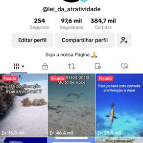 Conta LEI DA ATRATIVIDADE -97,6 mil Seguidores