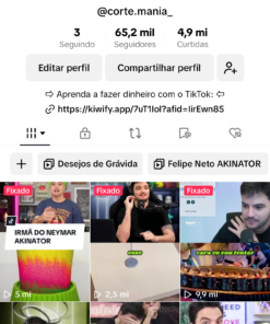 TIKTOK 65K SEGUIDORES MONETIZADO - NICHO FELIPE NETO