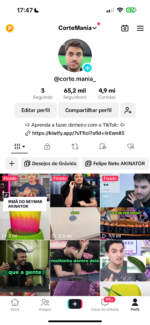 TIKTOK 65K SEGUIDORES MONETIZADO - NICHO FELIPE NETO