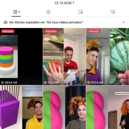 Canal TIKTOK de cortes : 14.2Mil curtidas 2500 seguidores