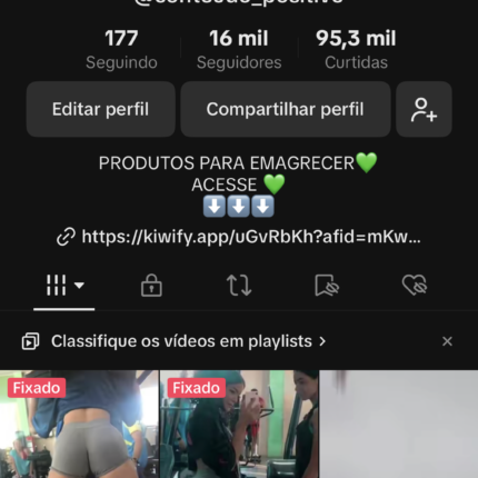 Tiktok 16K Seguidores 95.3K Curtidas
