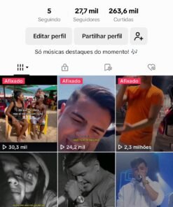 CANAL TIKTOK COM +27K DE SEGUIDORES, COM VIDEO DE 2,7 MILHÕES E VIEWS
