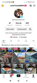 TIKTOK LIVES 14.5K Seguidores 499 Curtidas