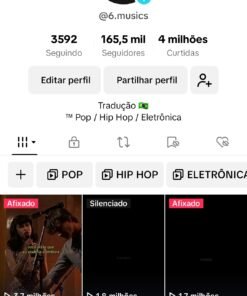 PERFIL NO TIKTOK 165 MIL SEGUIDORES