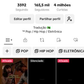 PERFIL NO TIKTOK 165 MIL SEGUIDORES