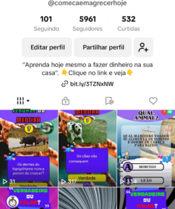 Conta TikTok com 5k de seguidores -Quiz Animado