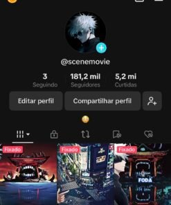 CONTA DO TIKTOK MONETIZADA 181k