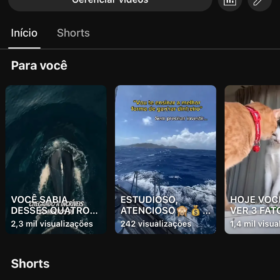 Canal No YouTube 5.500 inscritos, sem strikes, sem restrições