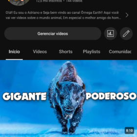 Canal DARK no nicho pet! 12k de inscrições🔆