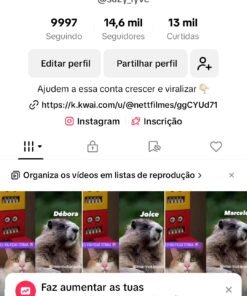 Conta do tiktok 14k