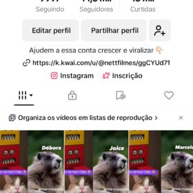 Conta do tiktok 14k