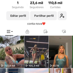 Conta Tiktok Monetizada 23K