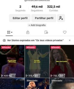 Tiktok Monetizado, Nicho de Música -49,3K Seguidores
