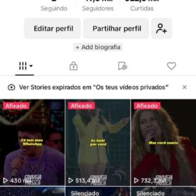 Tiktok Monetizado, Nicho de Música -49,3K Seguidores