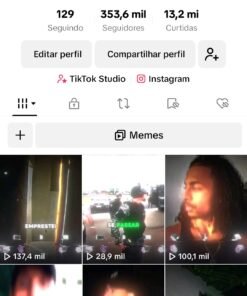 Perfil do Tik Tok a venda 353K de seguidores 13 Milhões de curtidas